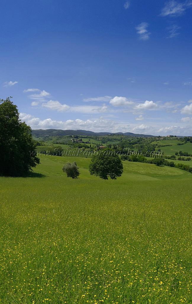 14450_18_05_2013_torrita_di_siena_tuscany_italy_toscana_italien_spring_fruehling_scenic_outlook_viewpoint_panoramic_landscape_photography_panorama_landschaft_foto_3_6424x10136.jpg